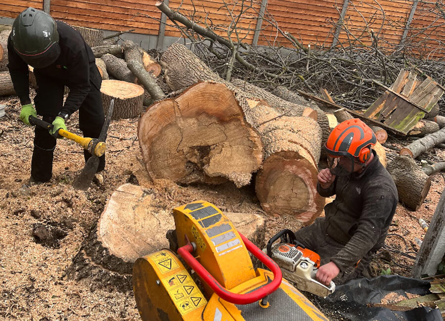 emergency tree removal Essex
